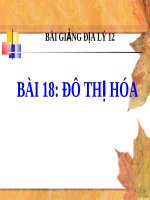 Bài giảng Địa lý 12 bài 18 Đô thị hóa | Lớp 12, Địa lý - Ôn Luyện