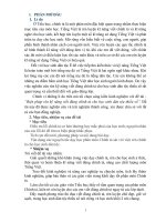 Sáng kiến kinh nghiệm, SKKN - Biện pháp rèn kỹ năng viết đúng chính tả cho học sinh dân tộc thiểu số