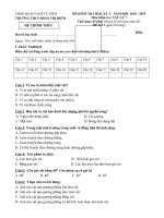 Đề thi học kì 1 môn Vật lý lớp 7 năm 2018 - 2019 THCS Đoàn Thị Điểm có đáp án | Vật lý, Lớp 7 - Ôn Luyện