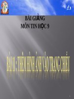 Thêm hình ảnh vào trang chiếu | Lớp 9, Tin học - Ôn Luyện