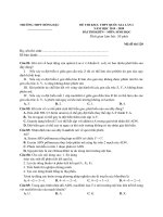 Đề khảo sát Sinh Học 12 lần 1 trường THPT Đồng Đậu Vĩnh Phúc năm học 2019 2020