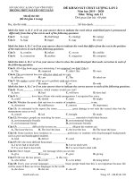 Đề khảo sát Anh 12 lần 2 Nguyễn Viết Xuân Vĩnh Phúc năm 2019 2020 kèm đáp án