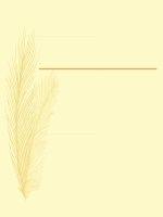 file powerpoint tap huan gdtc bo sach ket noi tri thuc voi cuoc song mon  