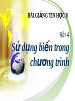 Sử dụng biến trong chương trình | Lớp 8, Tin học - Ôn Luyện