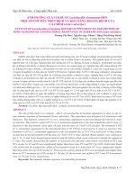 Ảnh hưởng của vi khuẩn Lactobacillus fermentum đến một số chỉ tiêu miễn dịch và khả năng kháng bệnh của cá chẽm (Lates calcarifer)