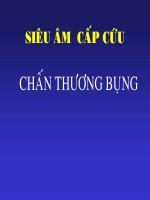 Bài giảng Siêu âm cấp cứu chấn thương bụng