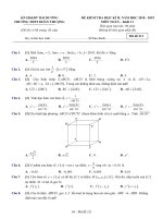 Đề thi học kì 2 Toán 11 năm 2018 – 2019 trường Đoàn Thượng – Hải Dương
