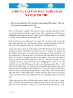 16 đề và bài văn nghị luận xã hội 200 chữ - Văn học