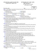 Đề thi HK1 Sinh học 12 năm 2018 – 2019 trường THPT Nguyễn Trãi – Hà Nội