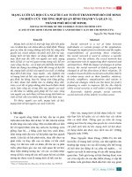 MẠNG LƯỚI XÃ HỘI CỦA NGƯỜI CAO TUỔI Ở THÀNH PHỐ HỒ CHÍ MINH (NGHIÊN CỨU TRƯỜNG HỢP QUẬN BÌNH THẠNH VÀ QUẬN 12, THÀNH PHỐ HỒ CHÍ MINH)