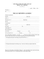 Tải mẫu phụ lục hợp đồng lao động