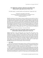 XÁC ĐỊNH MÃ VẠCH DNA CHO HAI LOÀI THUỘC CHI HOMALOMENA (HỌ ARACEAE) Ở VIỆT NAM