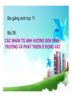 Nhân tố ảnh hưởng đến sinh trưởng và phát triển ở động vật | Lớp 11, Sinh học - Ôn Luyện