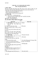 Giáo án đạo đức lớp 1 tuần 1   13  kết nối tri thức với cuộc sống 