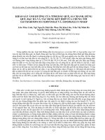KHẢO SÁT ẢNH HƯỞNG CỦA TINH DẦU QUẾ, SẢ CHANH, HÚNG QUẾ, BẠC HÀ VÀ TÁC DỤNG KẾT HỢP CỦA CHÚNG TỚI SACCHAROMYCES CEREVISIAE VÀ ASPERGILLUS NIGER