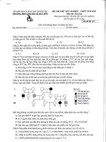 Đề thi thử tốt nghiệp THPT 2020 môn Sinh học trường THPT chuyên Lê Quý Đôn - Quảng Trị - THI247.com