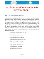 Tuyển Tập Những Bài Văn Mẫu Hay Nhất Lớp 11 - Văn học