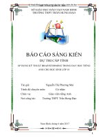 Sáng kiến kinh nghiệm, SKKN - Áp dụng kỹ thuật Brainstorming trong dạy học tiếng Anh cho học sinh lớp 10