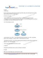 Enzyme và vai trò của enzyme trong chuyển hóa vật chất
