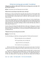 Văn mẫu Tả cây bóng mát lớp 4 đặc sắc | Văn mẫu lớp 4