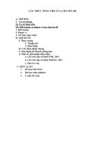 cấu trúc tổng thể của chuyên đềamở đầuicơ sở lí luận ii cơ sở thực tiễn iii đối tượng và phạm vi của chuyên đề