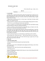 Mẫu đề án chi tiết thực hiện hoạt động xúc tiến thương mại