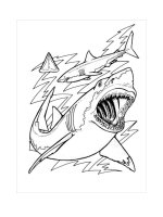 Tải Tranh tô màu con cá mập cho bé - Hình tô màu con cá mập