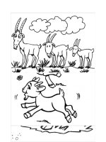 Tải Tranh tô màu con dê cho bé yêu hội họa - Bộ hình tô màu con dê cho bé