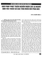 Giải pháp phát triển nguồn nhân lực là người dân tộc thiểu số các tỉnh miền núi phía bắc