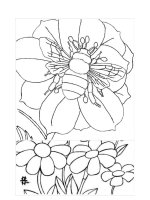 Tải Tranh tô màu con ong dễ thương - Hình tô màu con ong