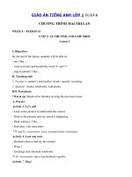 Tải Giáo án Tiếng Anh lớp 1 Tuần 8 sách Macmillan - Giáo án môn tiếng Anh lớp 1 theo tuần