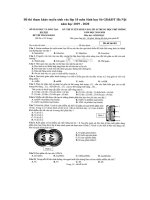 Tải Đề thi tham khảo tuyển sinh vào lớp 10 môn Sinh học Sở GD&ĐT Hà Nội năm học 2019 - 2020 - Đề thi tham khảo vào lớp 10 môn Sinh học năm 2019