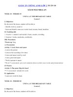 Tải Giáo án Tiếng Anh lớp 2 Tuần 10 sách Macmillan - Giáo án môn tiếng Anh lớp 2 theo tuần