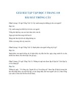 Giải bài tập Tập đọc 3 trang 110 Bài hát trồng cây