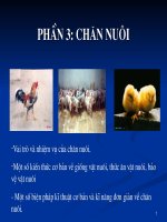 Bài 30. Vai trò và nhiệm vụ phát triển chăn nuôi.