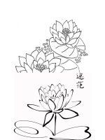 Tải Tranh tô màu hoa sen cho bé - Tranh tập tô màu hình hoa sen