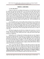 Sáng kiến kinh nghiệm, SKKN - Một số kinh nghiệm nâng cao hiệu quả các bài dạy có sử dụng thí nghiệm ở chương trình hóa học Trung học cơ sở