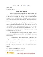 Tải về Đề thi học kì 2 môn Tiếng Việt lớp 3 - Đề 8 - Tìm đáp án, giải