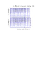 Tải Bộ đề ôn thi Đại học môn Sinh học có đáp án 2020 - 18 đề ôn thi Đại học môn Sinh học