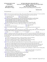 Đề thi chọn HSG Sinh học 12 năm 2018 - 2019 cụm Gia Bình - Lương Tài - Bắc Ninh - THI247.com