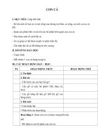 Tải Giáo án Tư nhiên xã hội 1 bài 25: Con cá - Giáo án Tự nhiên xã hội 1