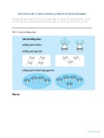 Giải toán lớp 1: Cách làm bài 1,2,3 trang 25 sách giáo khoa