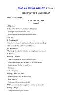 Tải Giáo án Tiếng Anh lớp 1 Tuần 2 sách Macmillan - Giáo án môn tiếng Anh lớp 1 theo tuần