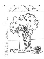 Tải Tranh tô màu cho bé hình khu vườn xinh xắn - Bộ tranh tập tô cho bé mẫu giáo