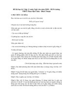 Tải Đề thi học kì 2 lớp 11 môn Ngữ văn năm 2018 - 2019 trường THPT Phan Bội Châu - Bình Thuận - Đề thi Ngữ văn lớp 11 học kì 2