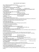 ĐỀ CƯƠNG ÔN TẬP GIỮA KỲ 1 - TIN HỌC 9