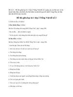 Đề thi Tiếng Việt lớp 2 học kỳ 1 năm 2019 đề số 2 có đáp án | Tiếng Việt lớp 2