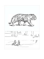 Tải Tranh tô màu 12 con giáp dành cho bé - Hình tô màu 12 con giáp