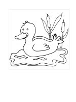Tải Tranh tô màu con vịt cho bé - Bộ hình tô màu con vịt