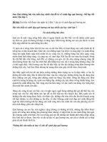 Bài văn tả về cảnh đẹp quê hương lớp 3 | Tập làm văn lớp 3